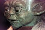 Yoda Close Up (Magic of Myth)